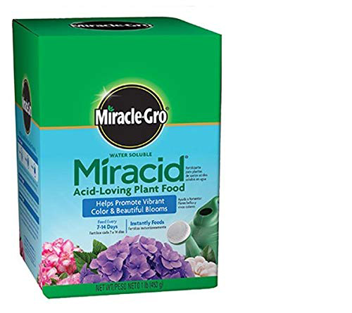 Gardenia fertilizer