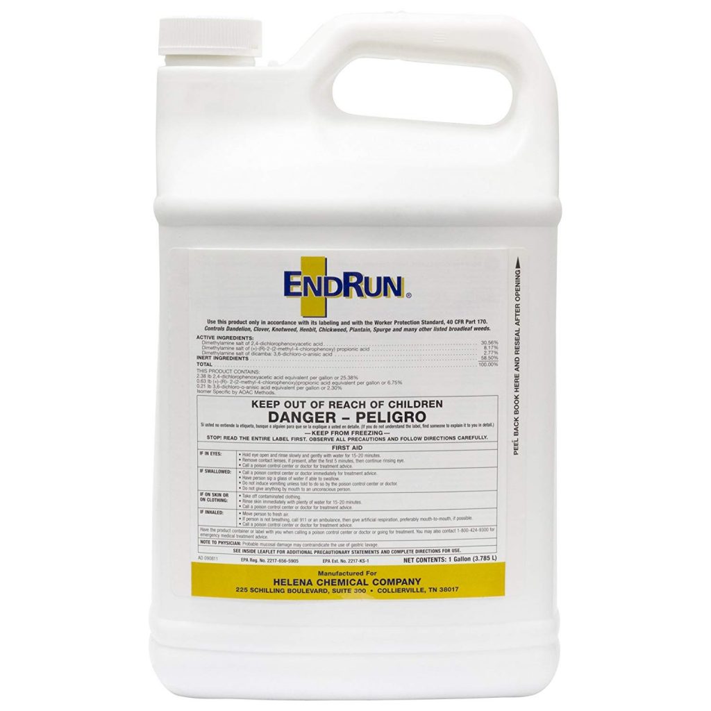 Best Herbicide For Creeping Charlie