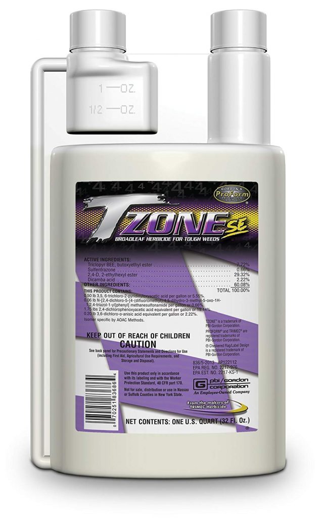 Best Herbicide For Creeping Charlie