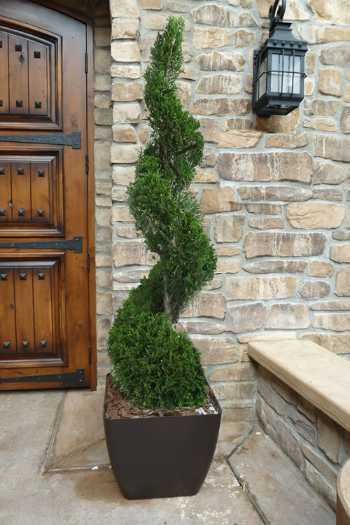 6 Best Plants For Pots Outside Front Door Best Garden Outdoor Lawn 2019 2020 2021 2022
