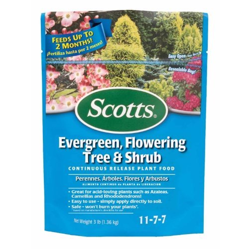 Magnolia Feed And Fertilizer
Magnolia Tree Fertilizer