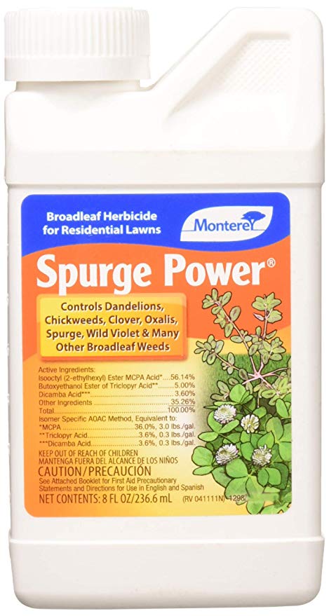 spurge herbicide weed killer
