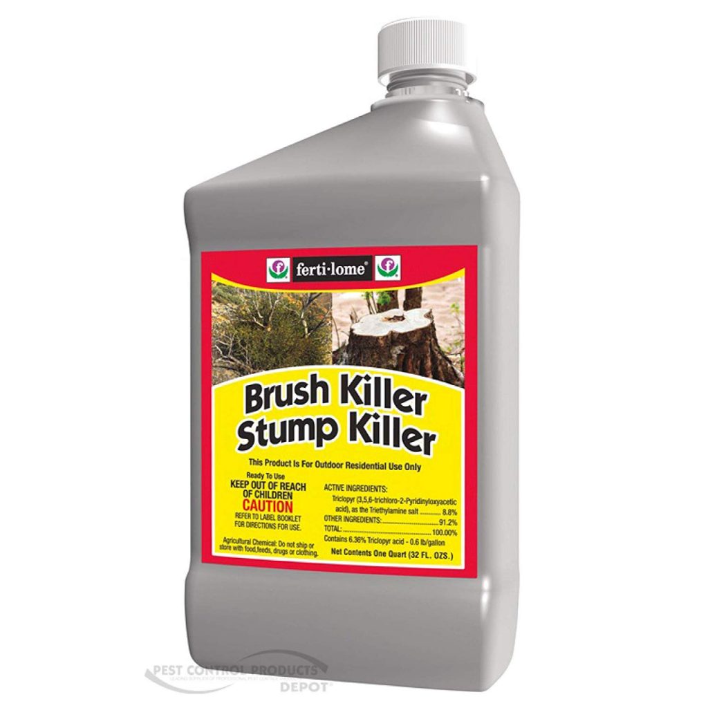 Best Herbicide For Blackberries 2020 Buyer's Guide