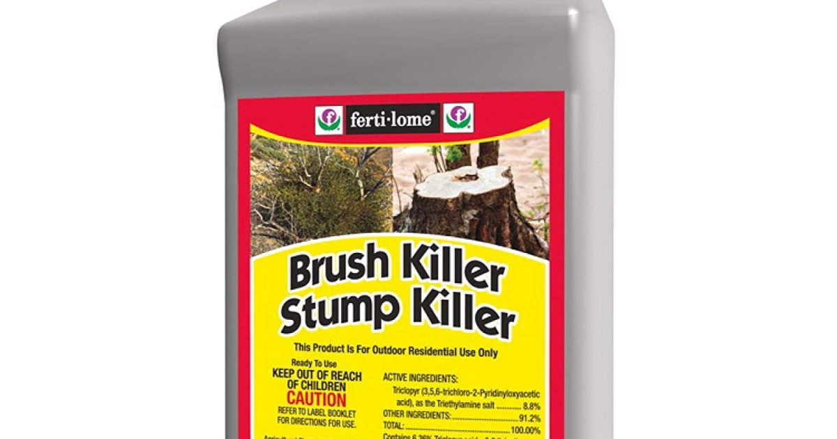 Best Herbicide For Blackberries 2020 Buyer's Guide