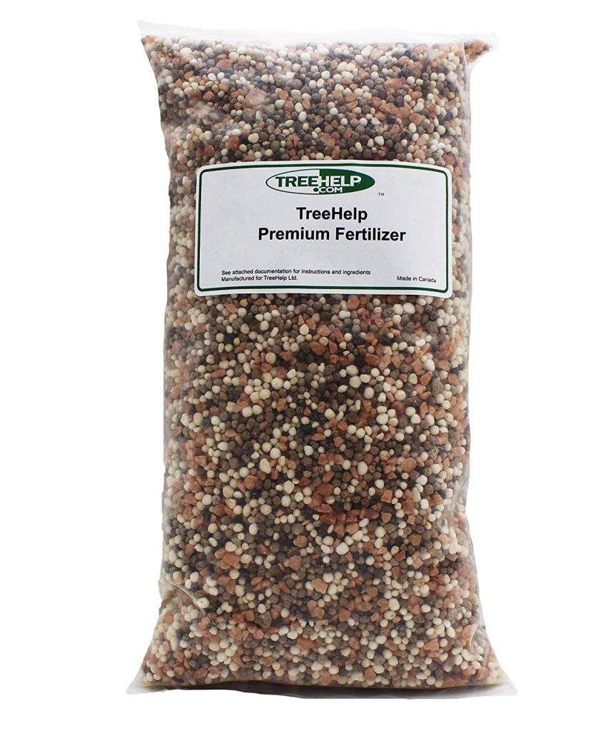 Magnolia Tree Fertilizer