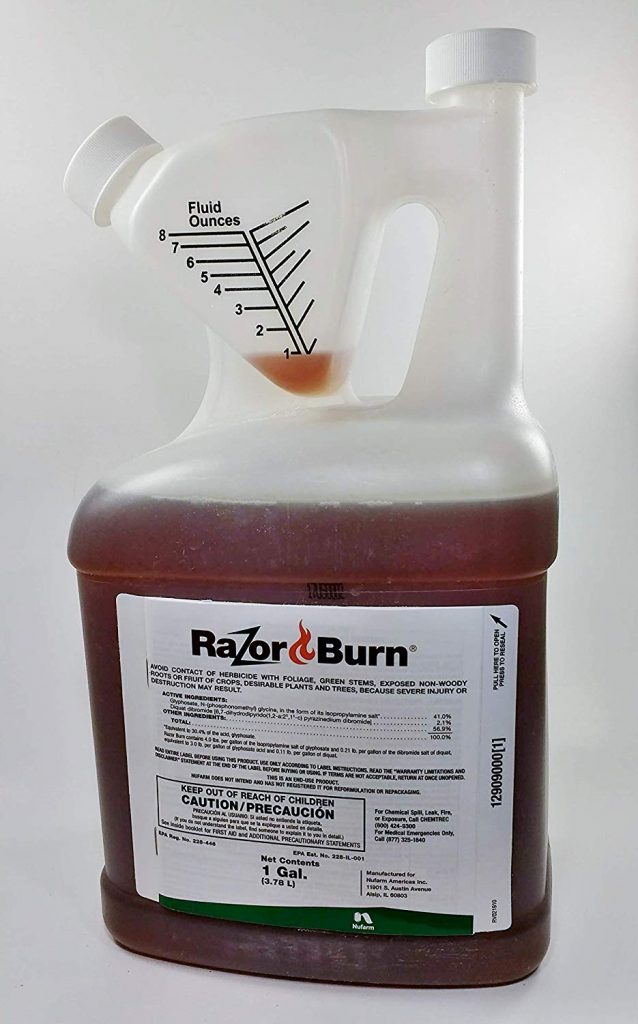 Best Herbicide For Blackberries 2020 Buyer's Guide