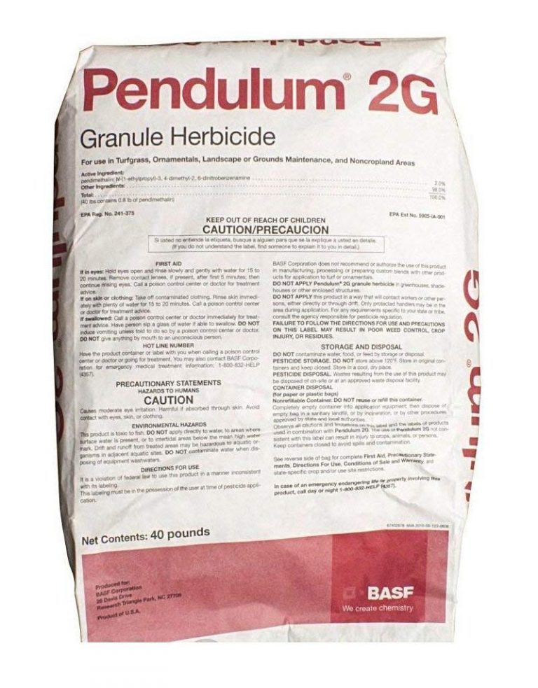 6 Best Herbicide For St Augustine Grass 2020 Buyer's Guide Best