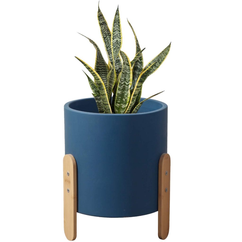6 Best Pots For Snake Plants 2020 Ultimate Guide Best Garden Outdoor