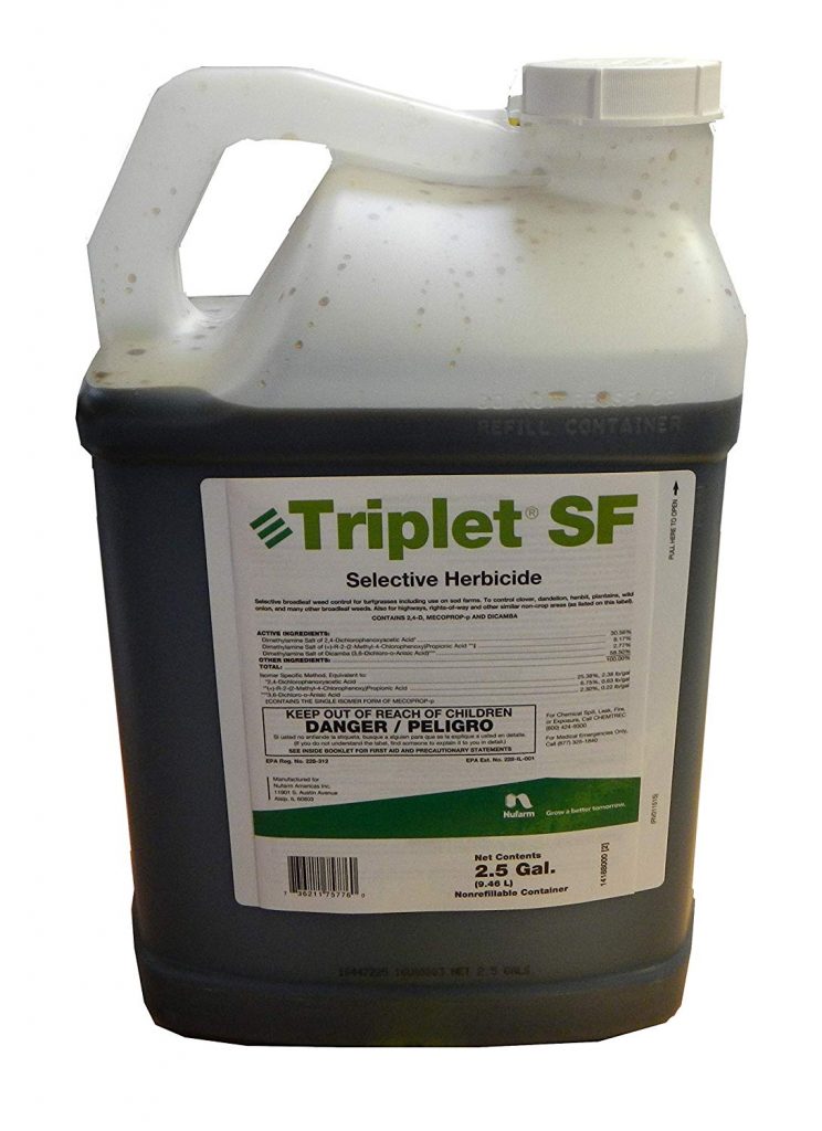 6 Best Selective Herbicide For Spurge 2020 Guide Best Garden Outdoor