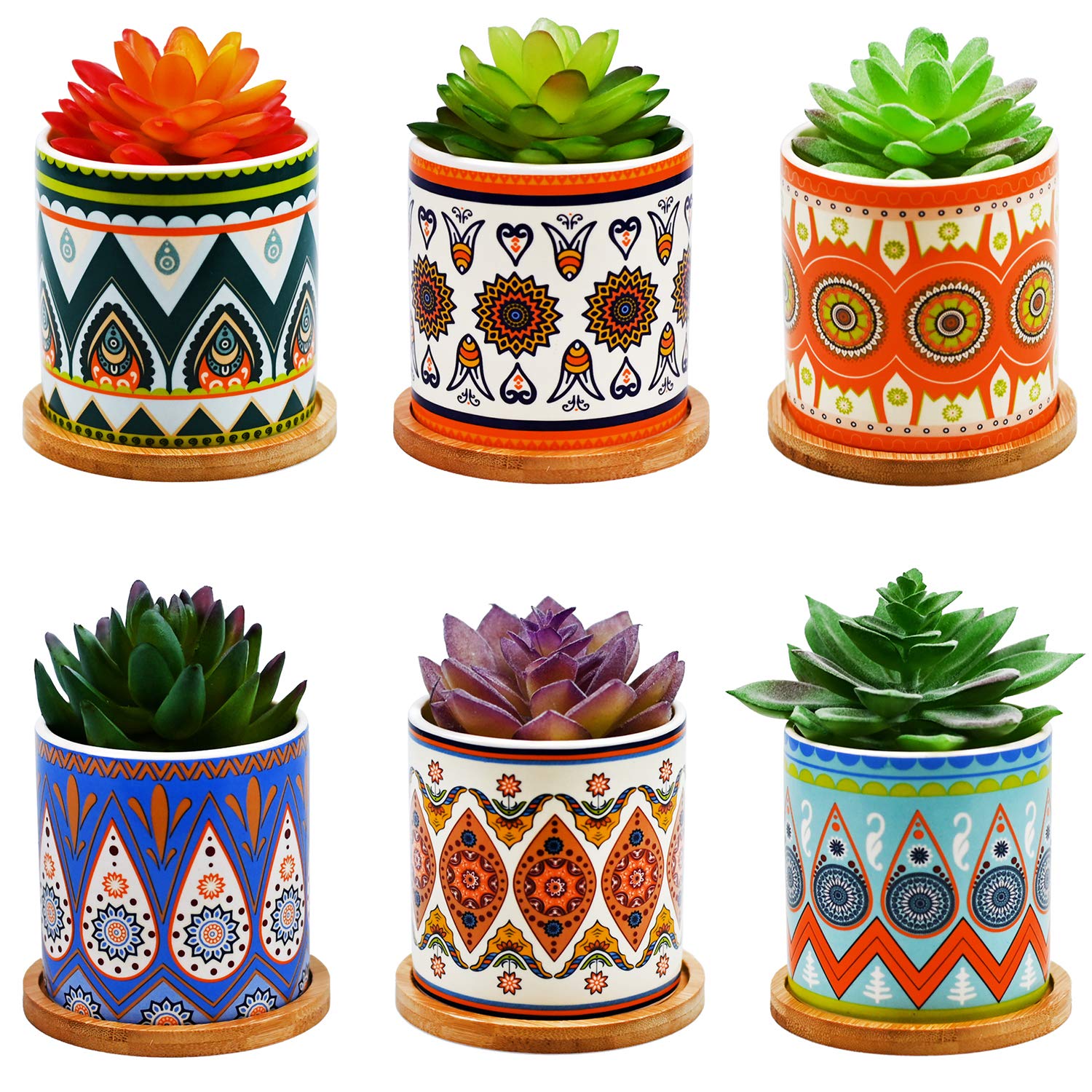 6 Best Pot For Jade Plant 2020 Buyer's Guide Best Garden Outdoor Lawn 2019 2020 2021 2022