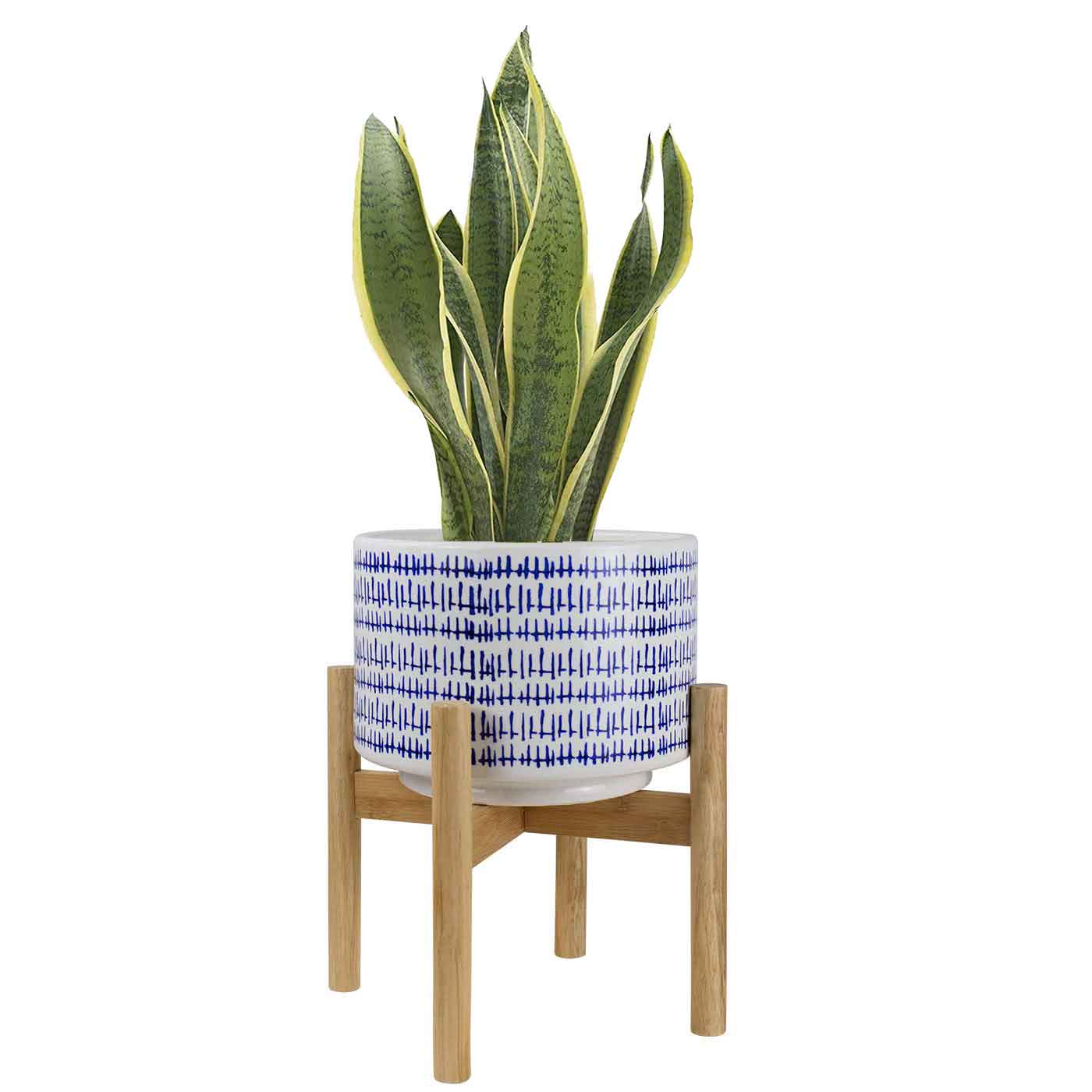 6 Best Pots For Snake Plants 2020 Ultimate Guide Best Garden Outdoor