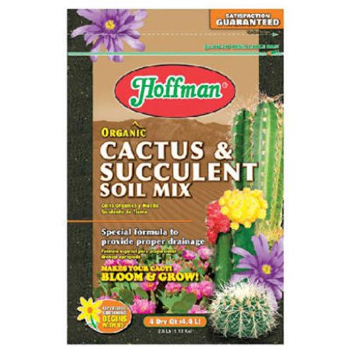Best Soil For Snake Plants 2020 Buyer's Guide