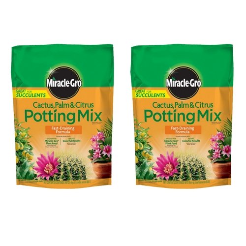 Best Soil For Snake Plants 2020 Buyer's Guide
