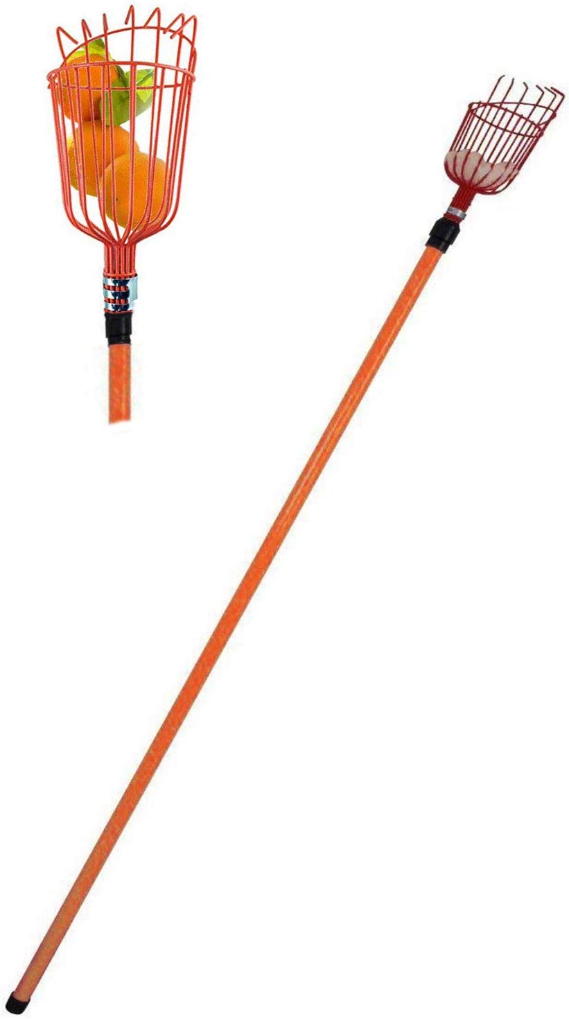 9 Best Fruit Picker Tool 2020 Buyer's Guide Best Garden Outdoor