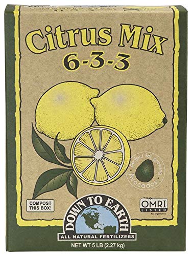 Best Fertilizer for Citrus Trees