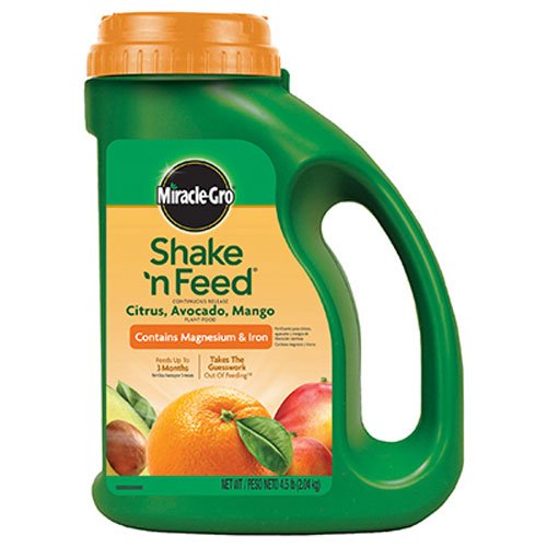 Best Fertilizer for Citrus Trees