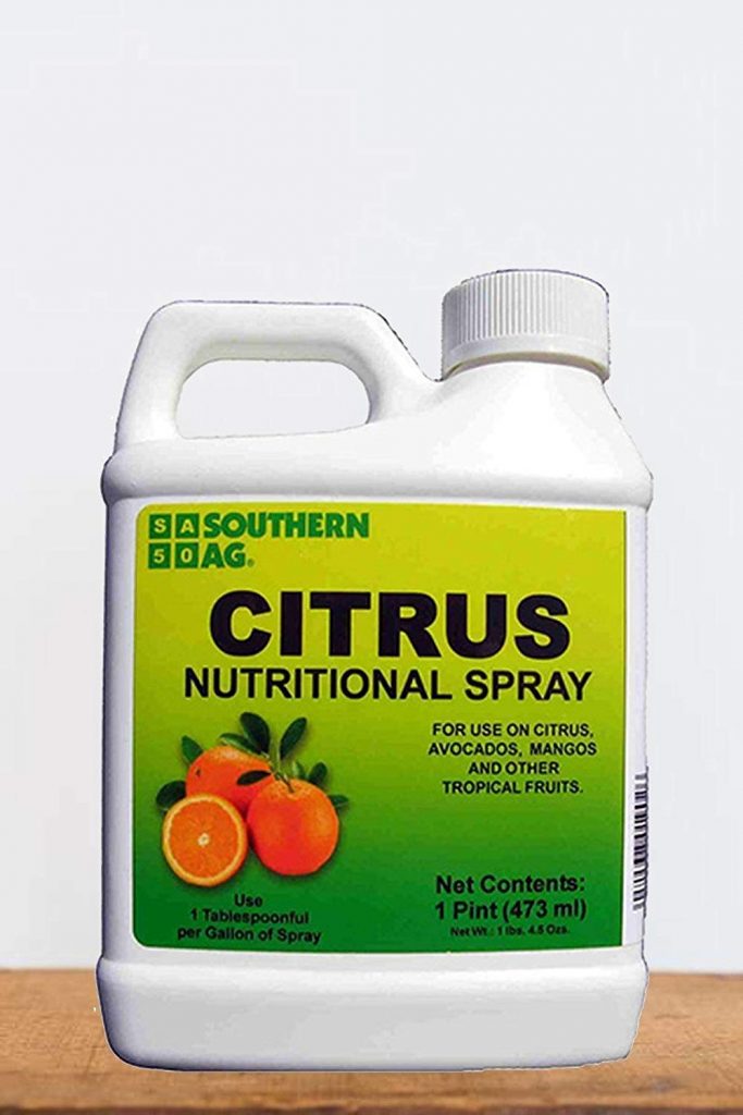 Best Fertilizer for Citrus Trees