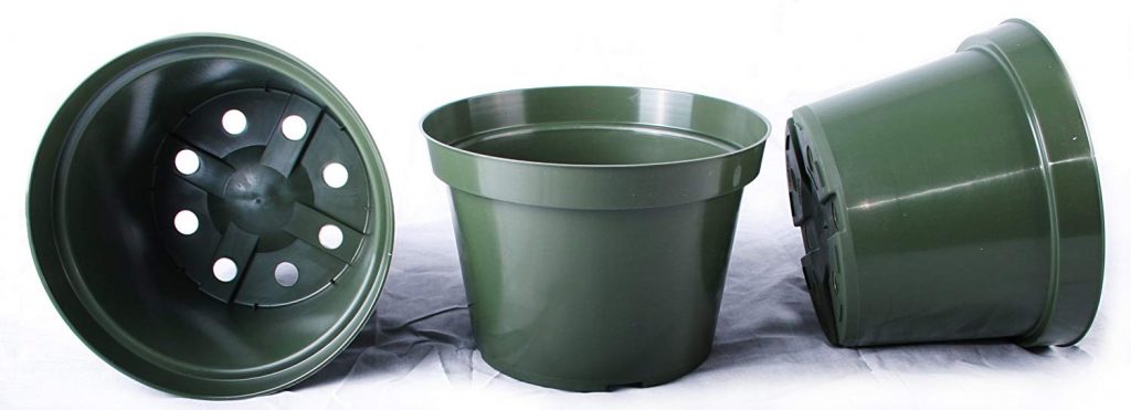 Best African Violet Pots