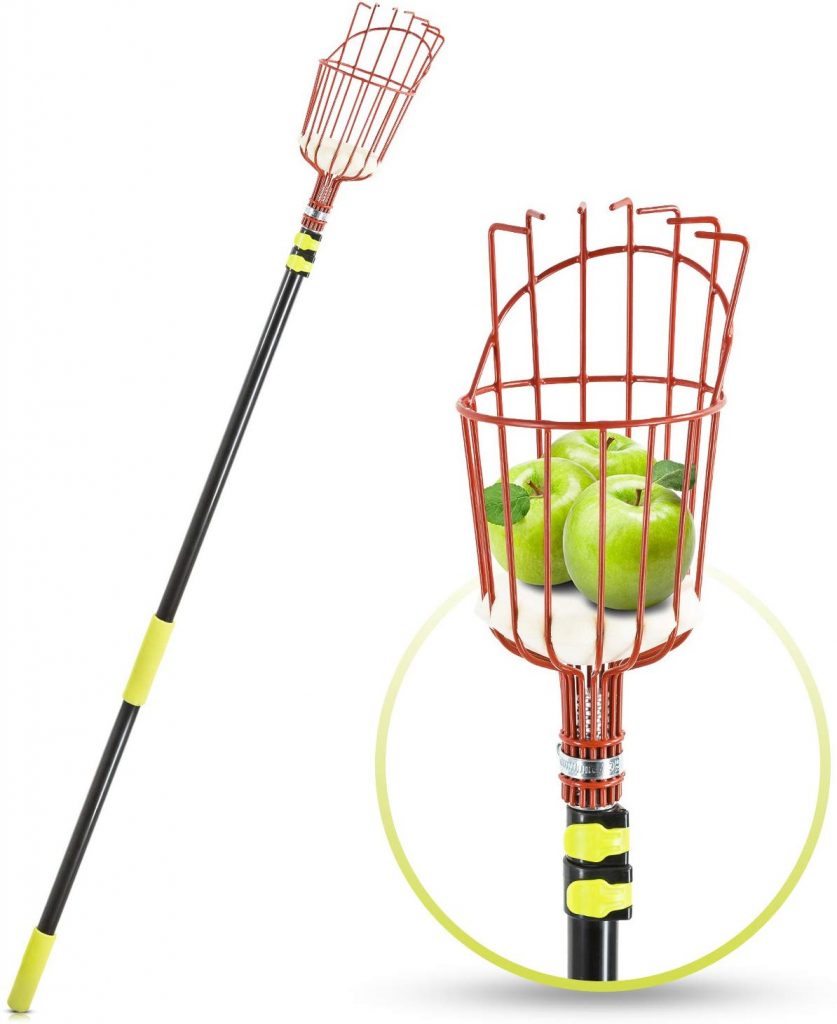 Best Fruit Picker