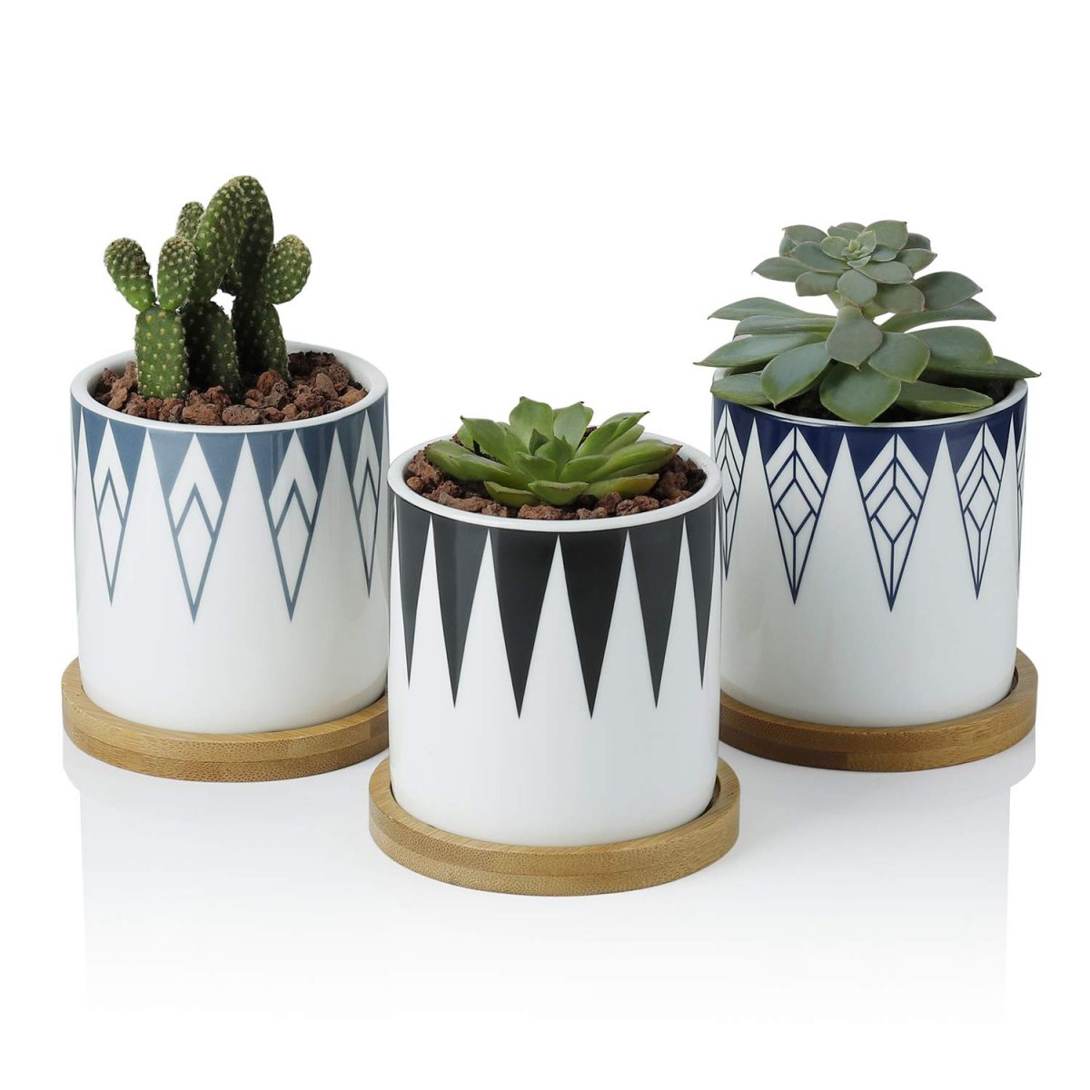 6 Best Pot For Jade Plant 2020 Buyer's Guide Best Garden Outdoor Lawn 2019 2020 2021 2022