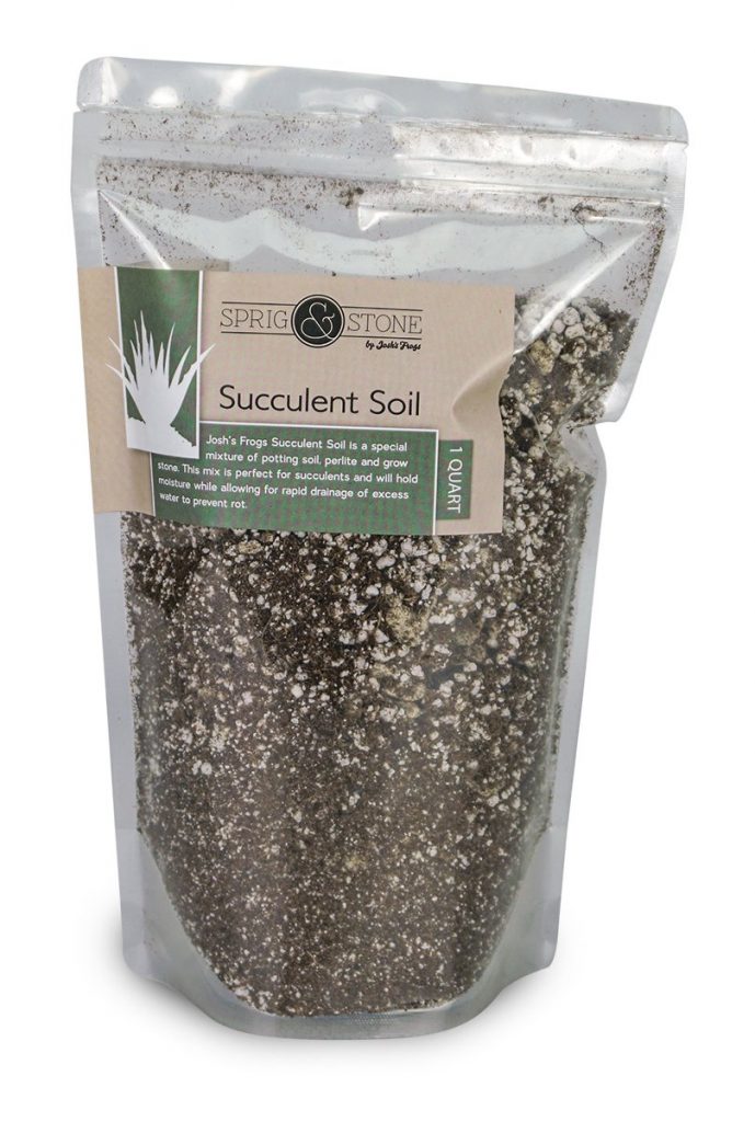 Best Soil For Snake Plants 2020 Buyer's Guide