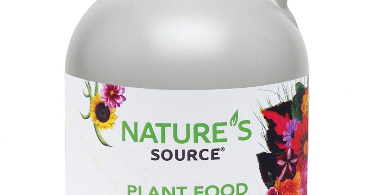 How To Care For Bird Of Paradise Plant 2020 Guide - Best ...
