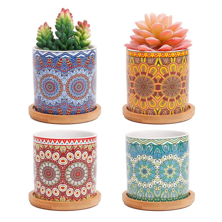 6 Best Pot For Jade Plant 2020 Buyer's Guide Best Garden Outdoor Lawn