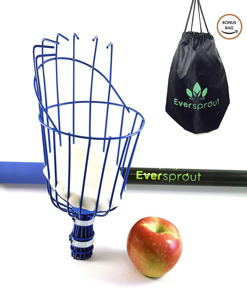 Best Fruit Picker
