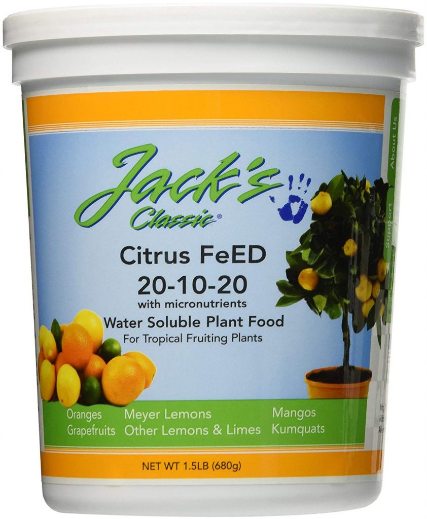 Best Fertilizer for Citrus Trees