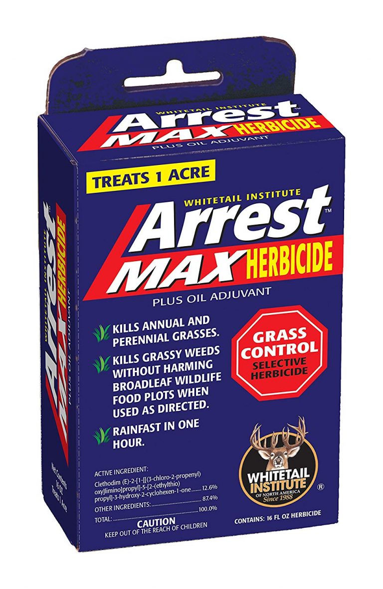 8 Best Herbicide For Clover Food Plots 2020 Buyer's Guide Best Garden Outdoor