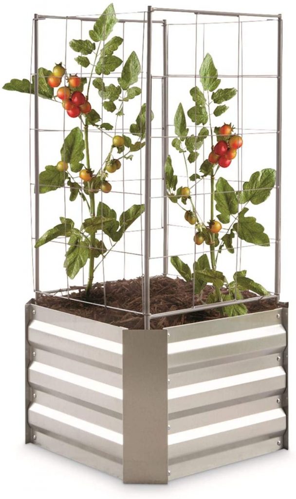 7 Best Planters For Tomatoes 2020 Guide Best Garden Outdoor Lawn