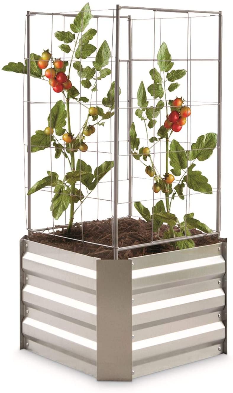 7 Best Planters For Tomatoes 2020 Guide Best Garden Outdoor Lawn