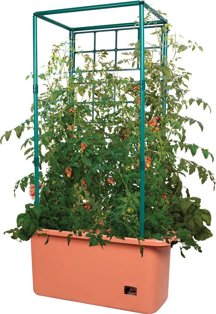 7 Best Planters For Tomatoes 2020 Guide Best Garden Outdoor Lawn