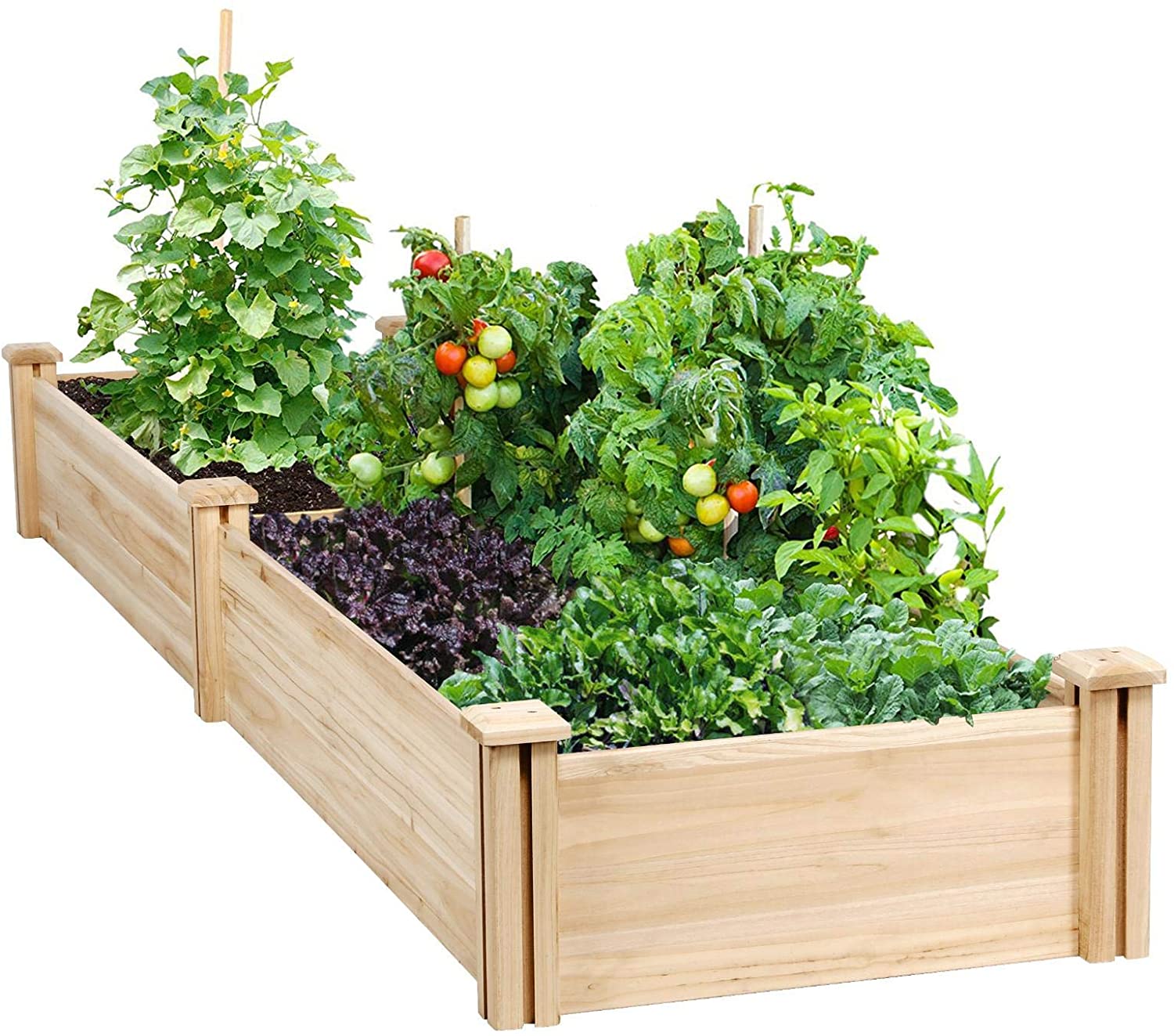 8 Best Raised Beds For Garden 2020 Guide Best Garden Outdoor Lawn