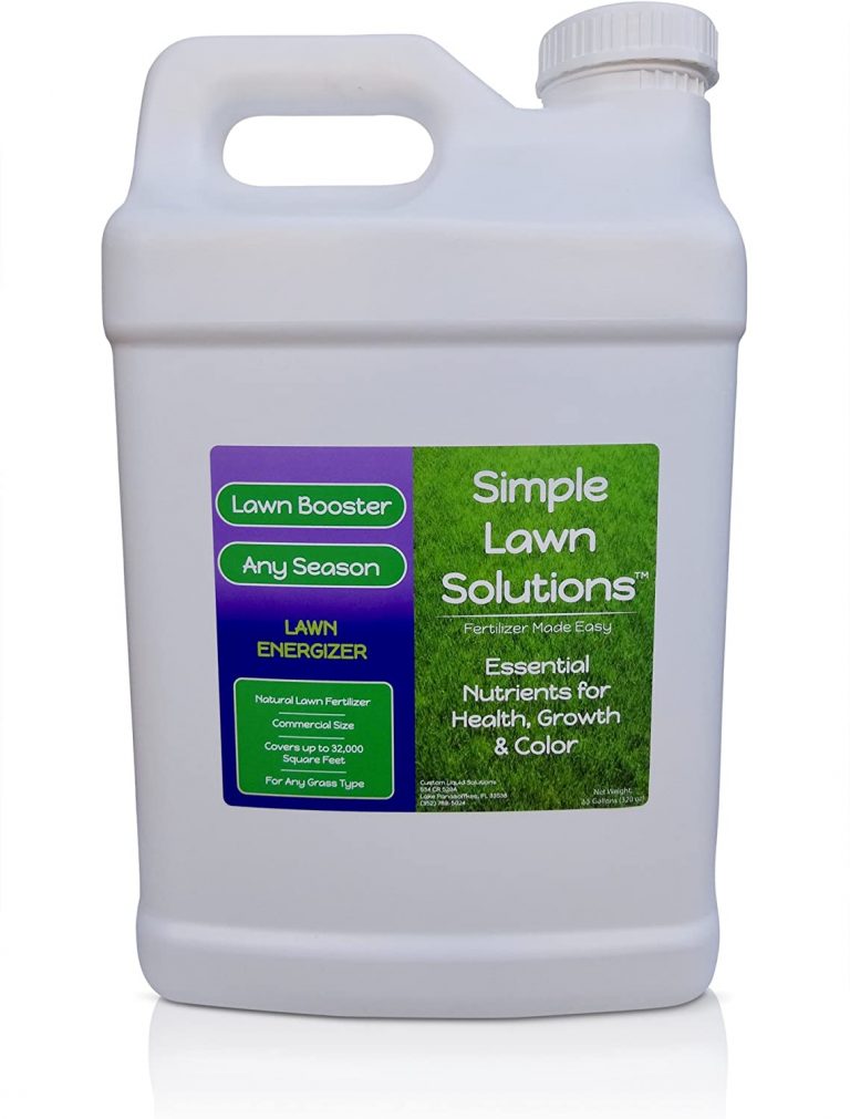 11 Best Zoysia Grass Fertilizer 2020 [Guide Reviews] Best Garden Outdoor