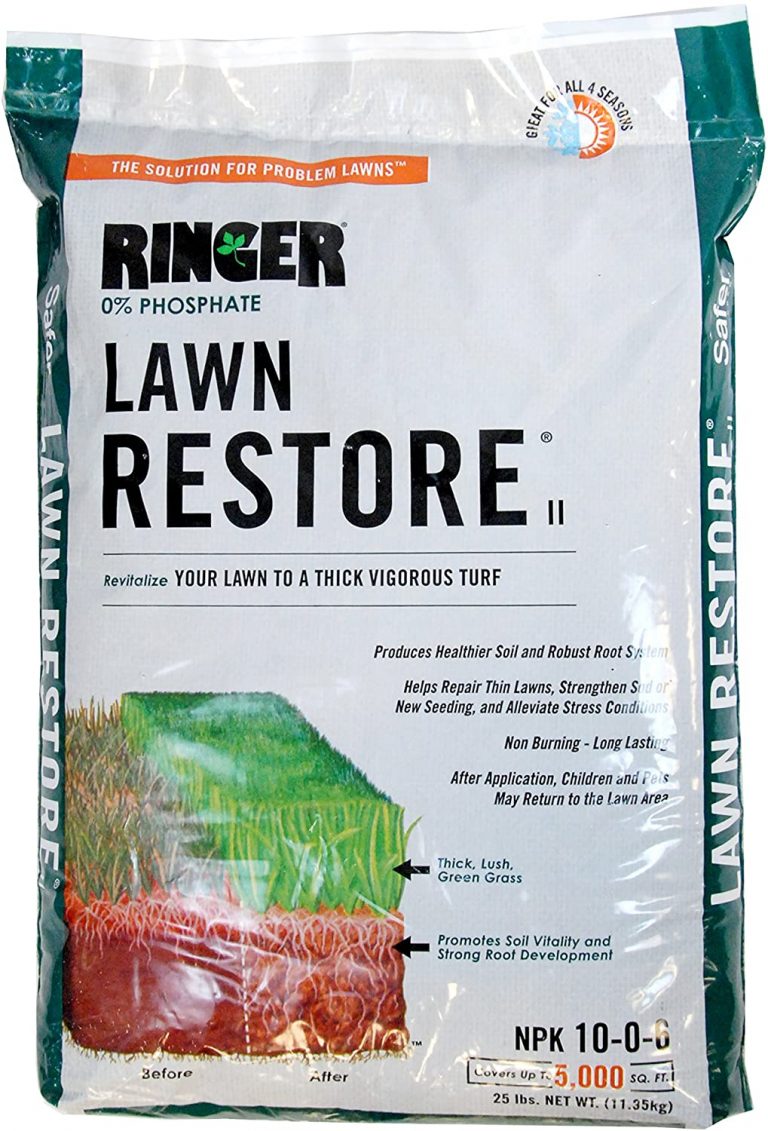 11 Best Zoysia Grass Fertilizer 2020 [Guide Reviews] Best Garden