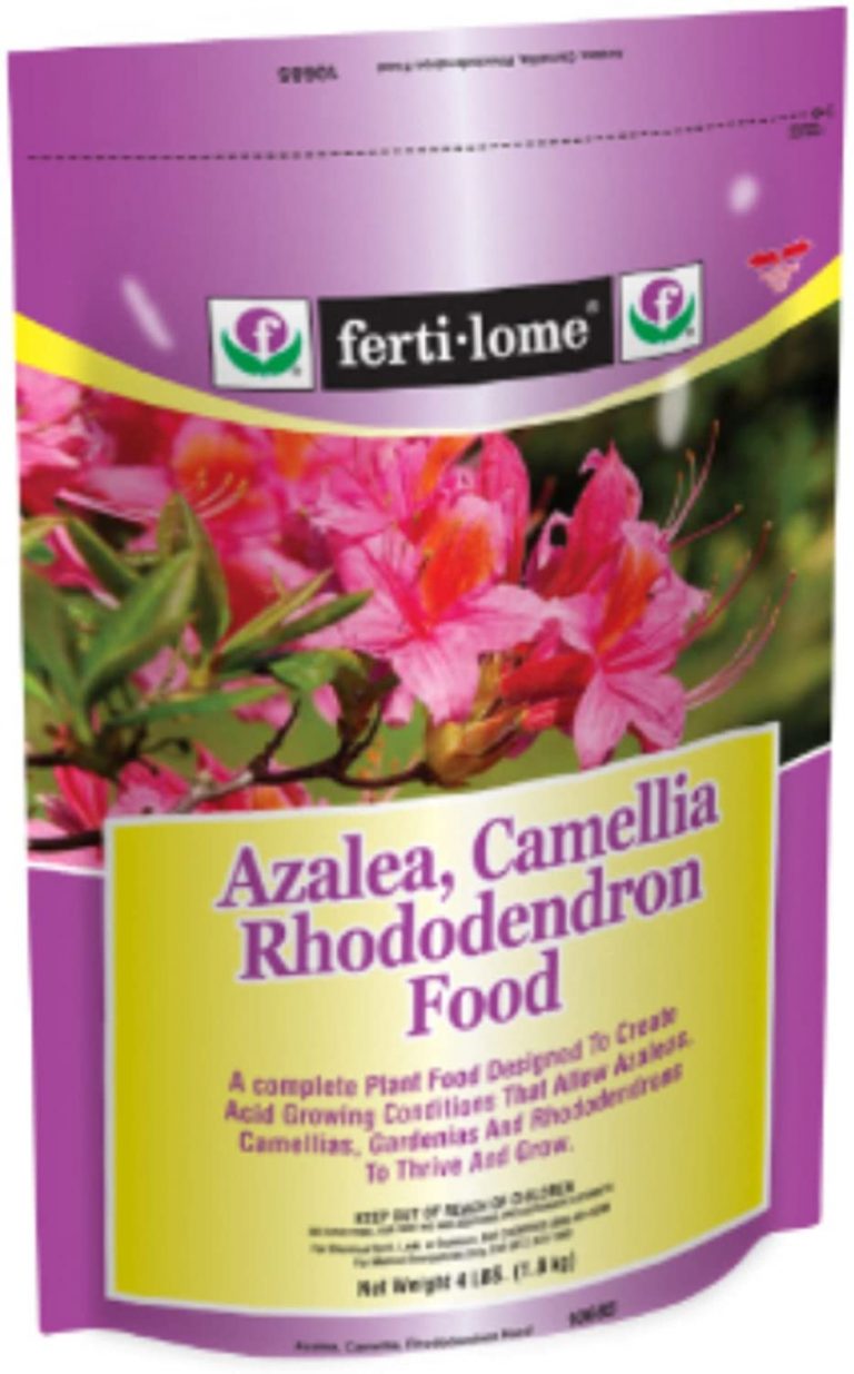 7 Best Azalea Fertilizer 2020 Ultimate Guide Best Garden Outdoor