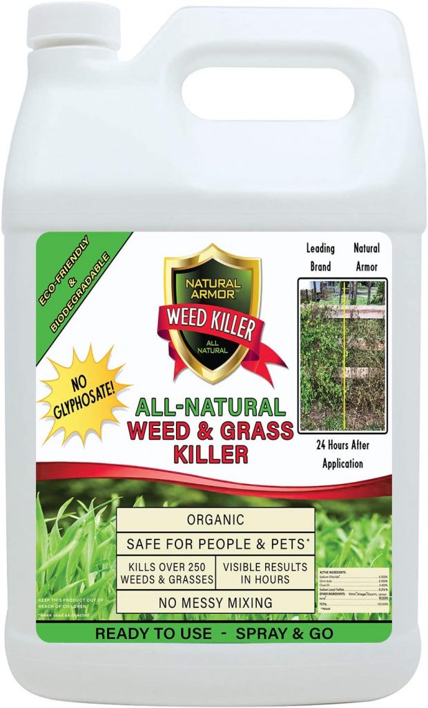 8 Best Weed Killer Safe For Dogs 2020 Ultimate Guide Best Garden