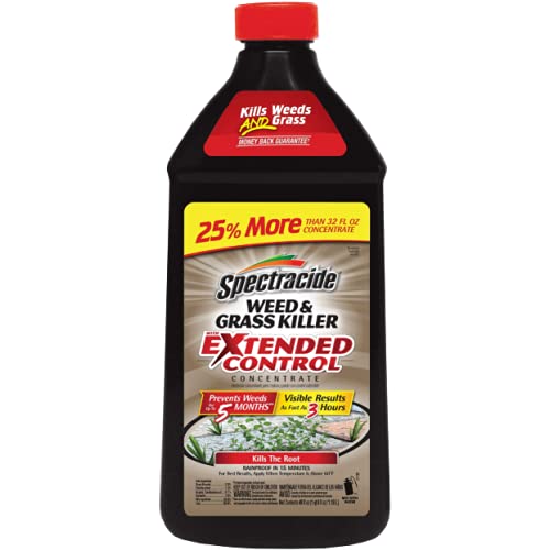 10 Best Dandelion Killer 2020 Ultimate Guide